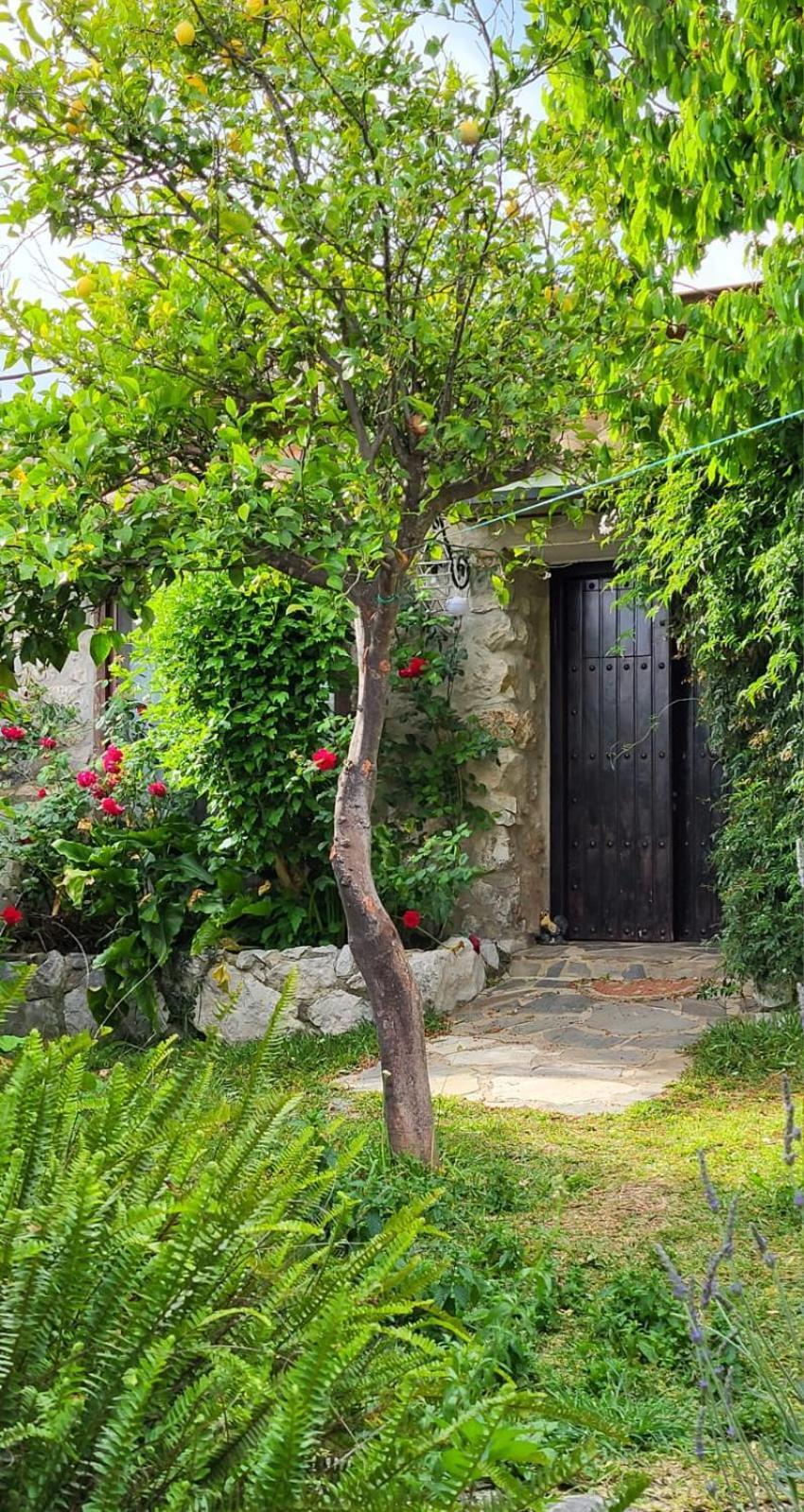 Casa Nani Villa Benaocaz Eksteriør billede